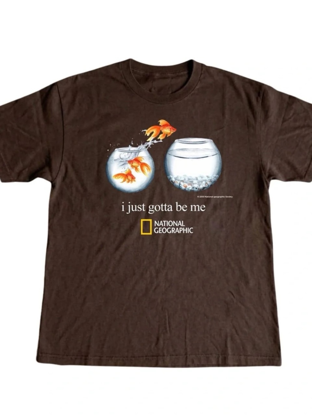 Gildan Brown Short Sleeve Tee with Orange Goldfish Graphic